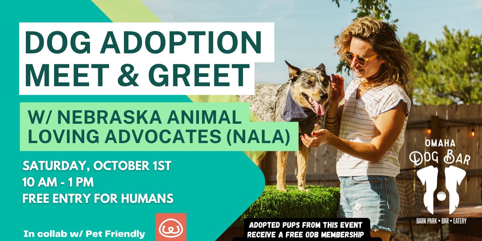 Adoption Meet & Greet w/ NALA at Omaha Dog Bar promotional image