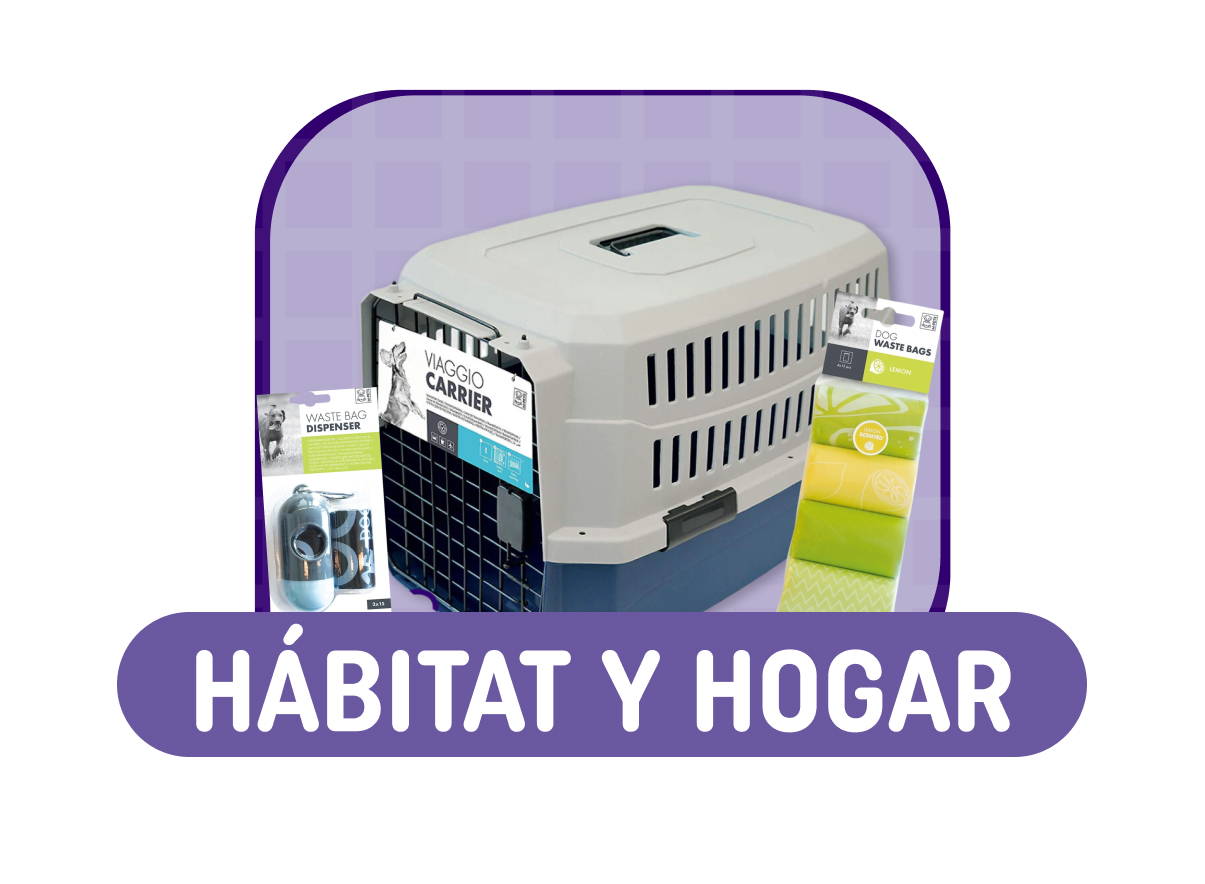accesorios y juguetes