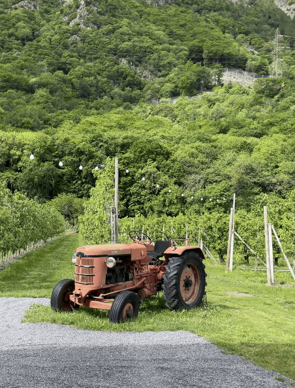Tracteur dans les vignes valaisannes lors du millésime 2022