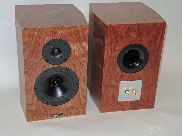 Tyler Acoustics New Decade D4Mx monitors! Awesome deal!