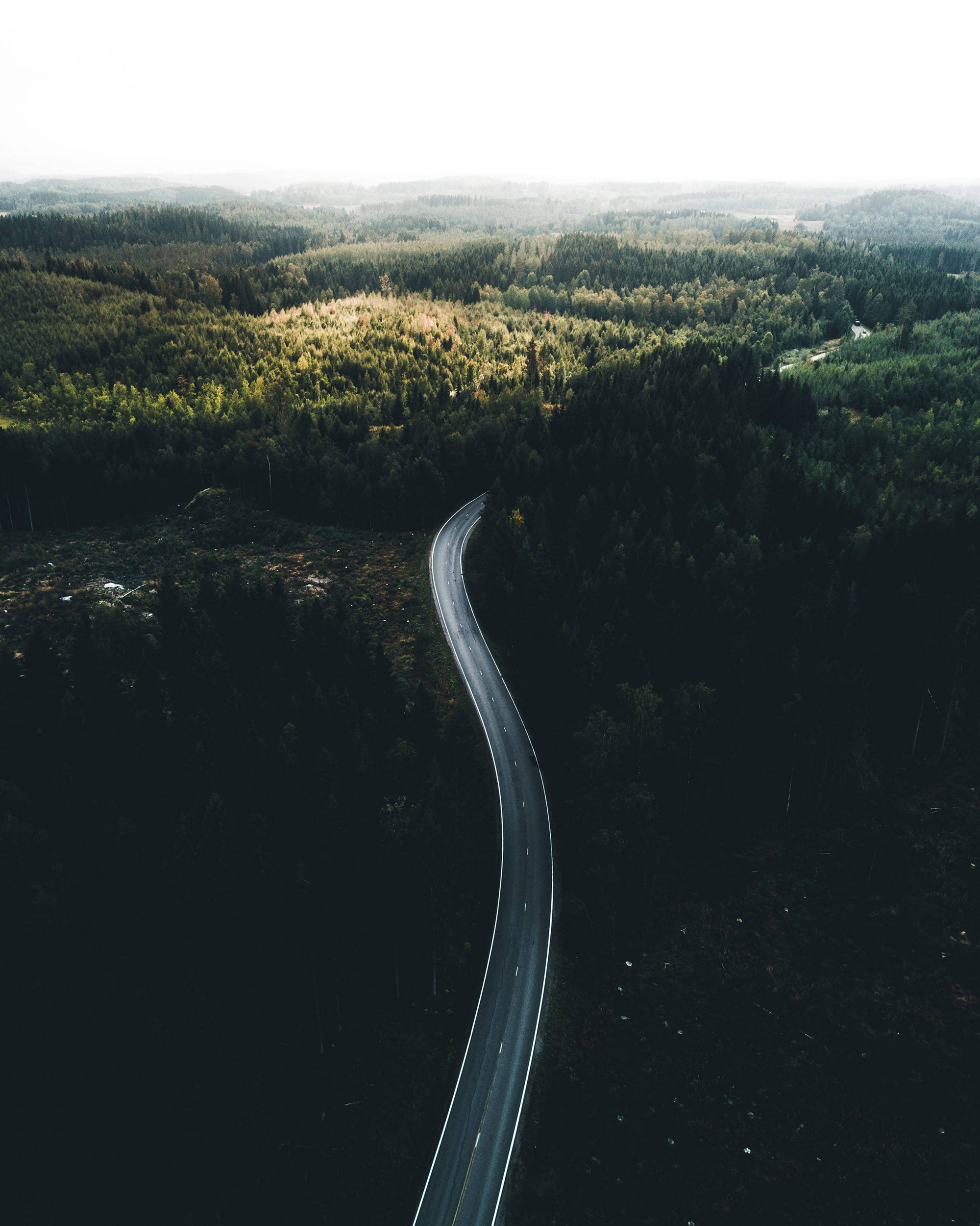 Kuva metsän välissä menevästä autotiestä.