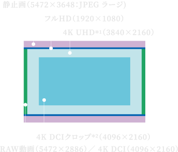 静止画