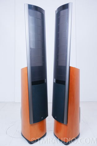 Martin Logan Clarity Electrostatic Hybrid Speakers; Pai...