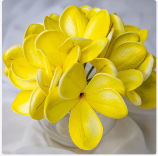 Bowen Frangipani Flowerhead (6 Pack) - Realistic Artificial Flowers - Image 4
