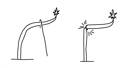 Hand drawing of a branch being trained with a string and another being supercropped