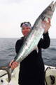 Winter King Mackerel Fishing