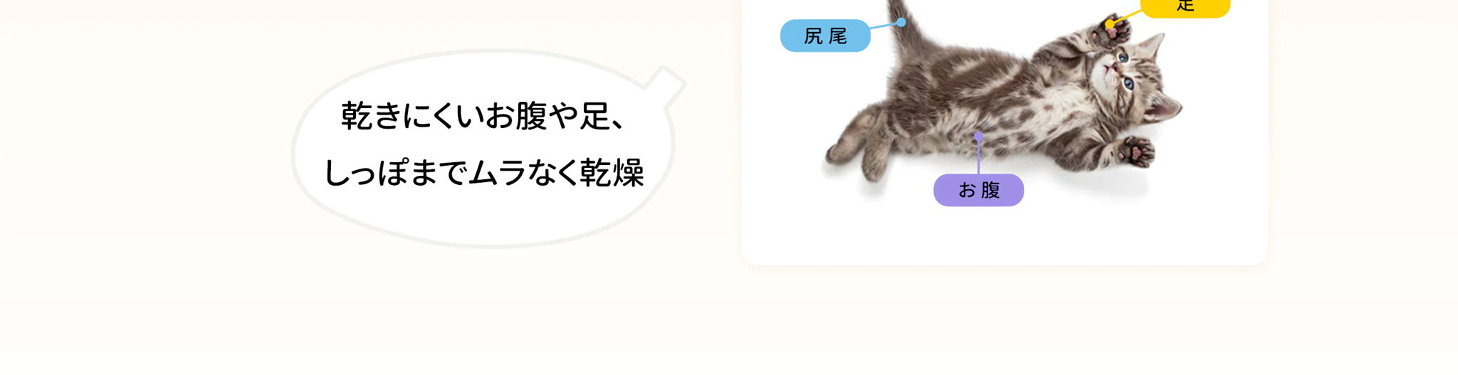 ムラなく乾燥