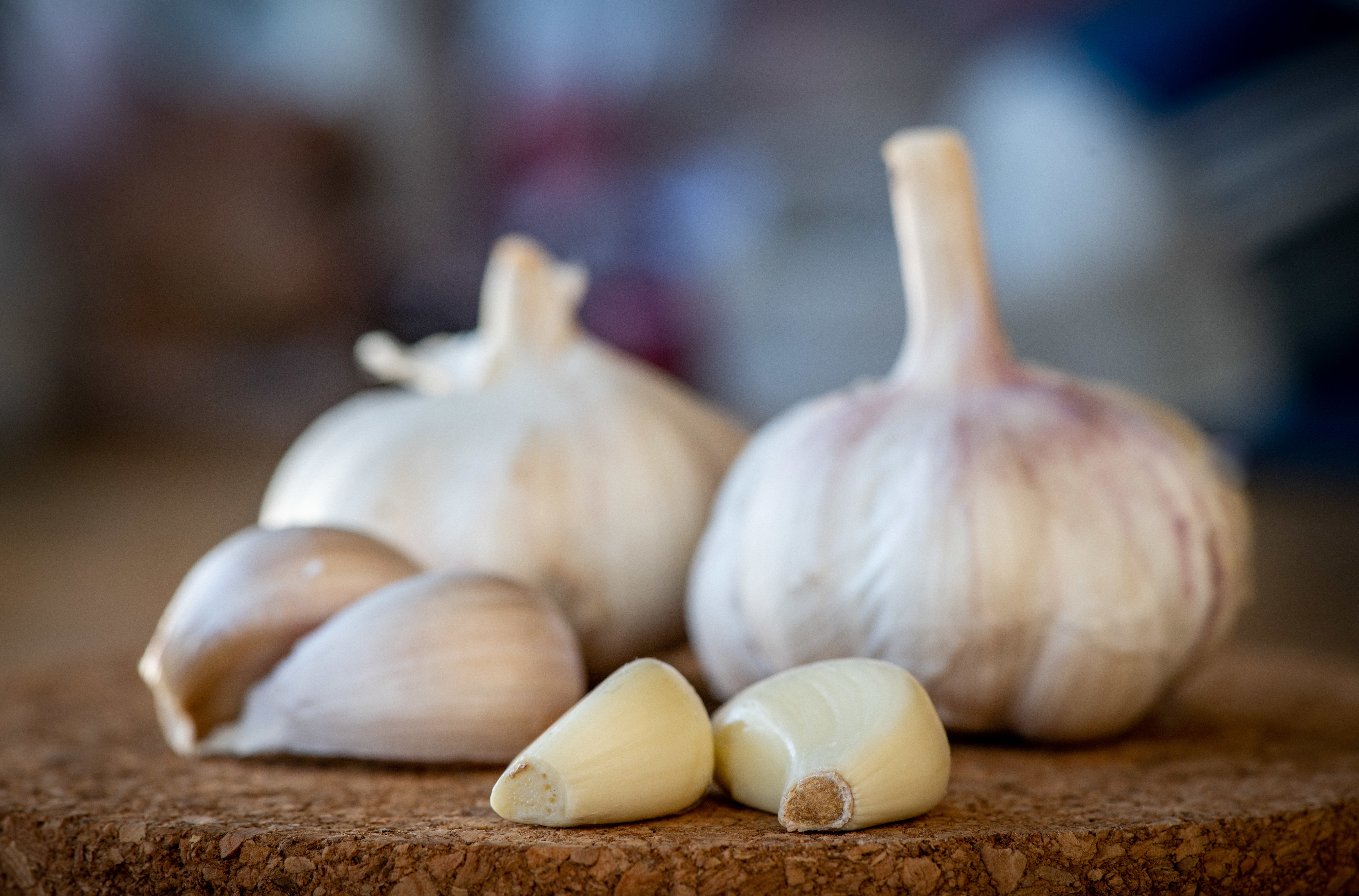 Two whole garlic bulbs and several loose garlic cloves on a cork surface