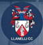 Llanelli Cricket Club logo