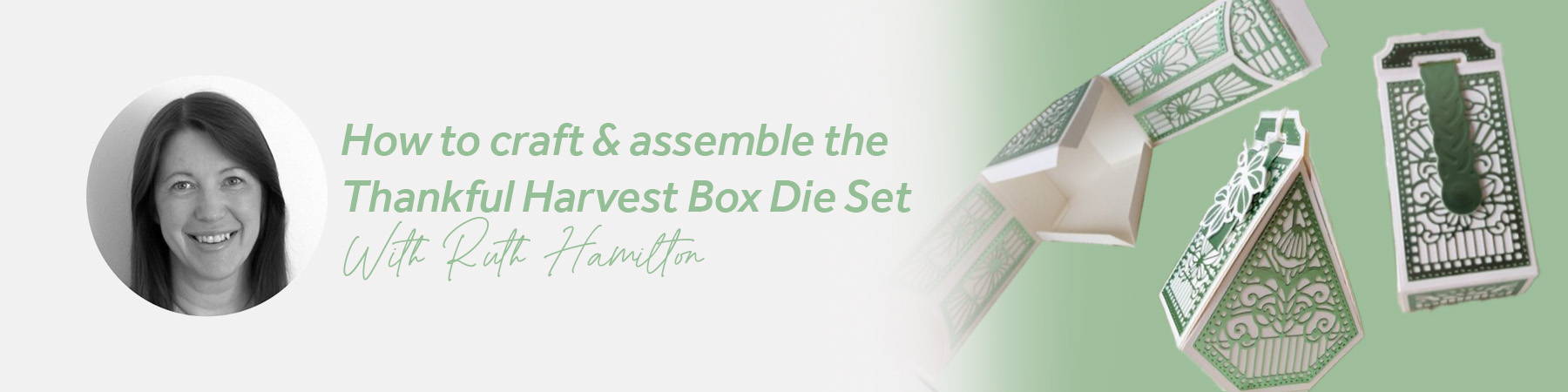 a green and white background with text
