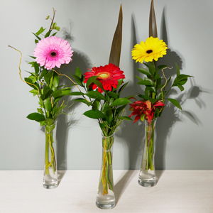 Single Flower in Vase