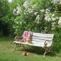 A vintage Indian garden bench