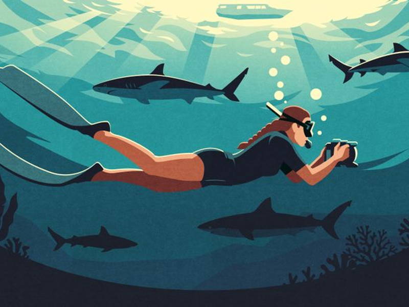 Image may contain: Animal, Fish, Sea Life, Shark, Leisure Activities, Person, Sport, Swimming, Water, and Water Sports