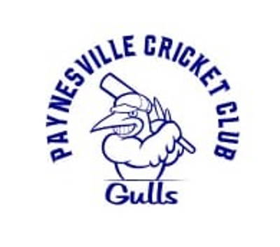 Paynesville Cricket Club Cricket Club Logo