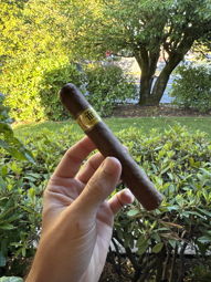 Cigar Session Photo