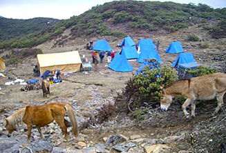 Bhutan Trekking Camp