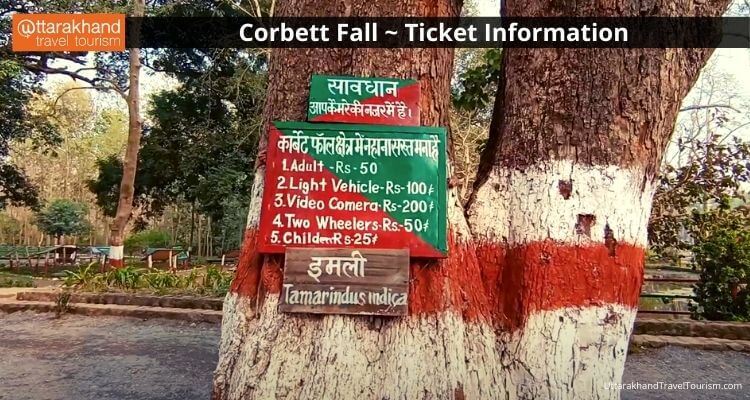 Corbett Falls 3.jpeg
