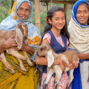 Heifer International