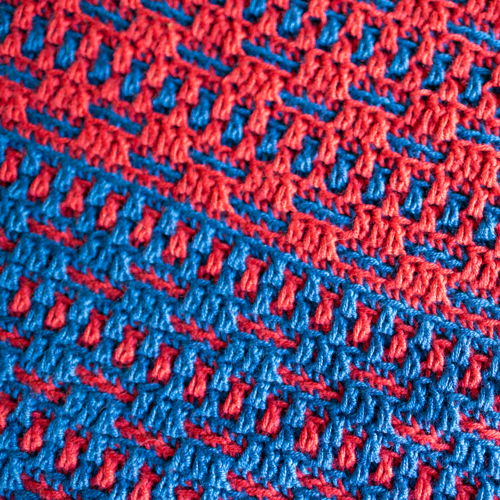 Velvet Vines Shawl