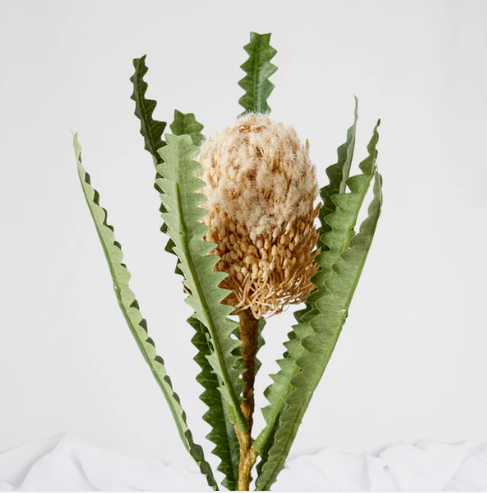 Mini Banksia Cream - Realistic Artificial Flowers - Image 3