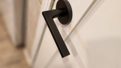 Modern interior door