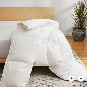Brooklinen Down Comforter- Duvet Insert