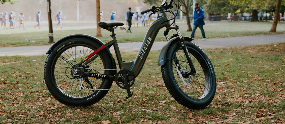 Bluejay Premiere electric bike handlebars and front basket