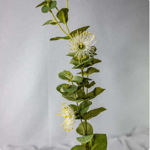 White Flowering Gum Blossom - Realistic Artificial Flowers - Image 2