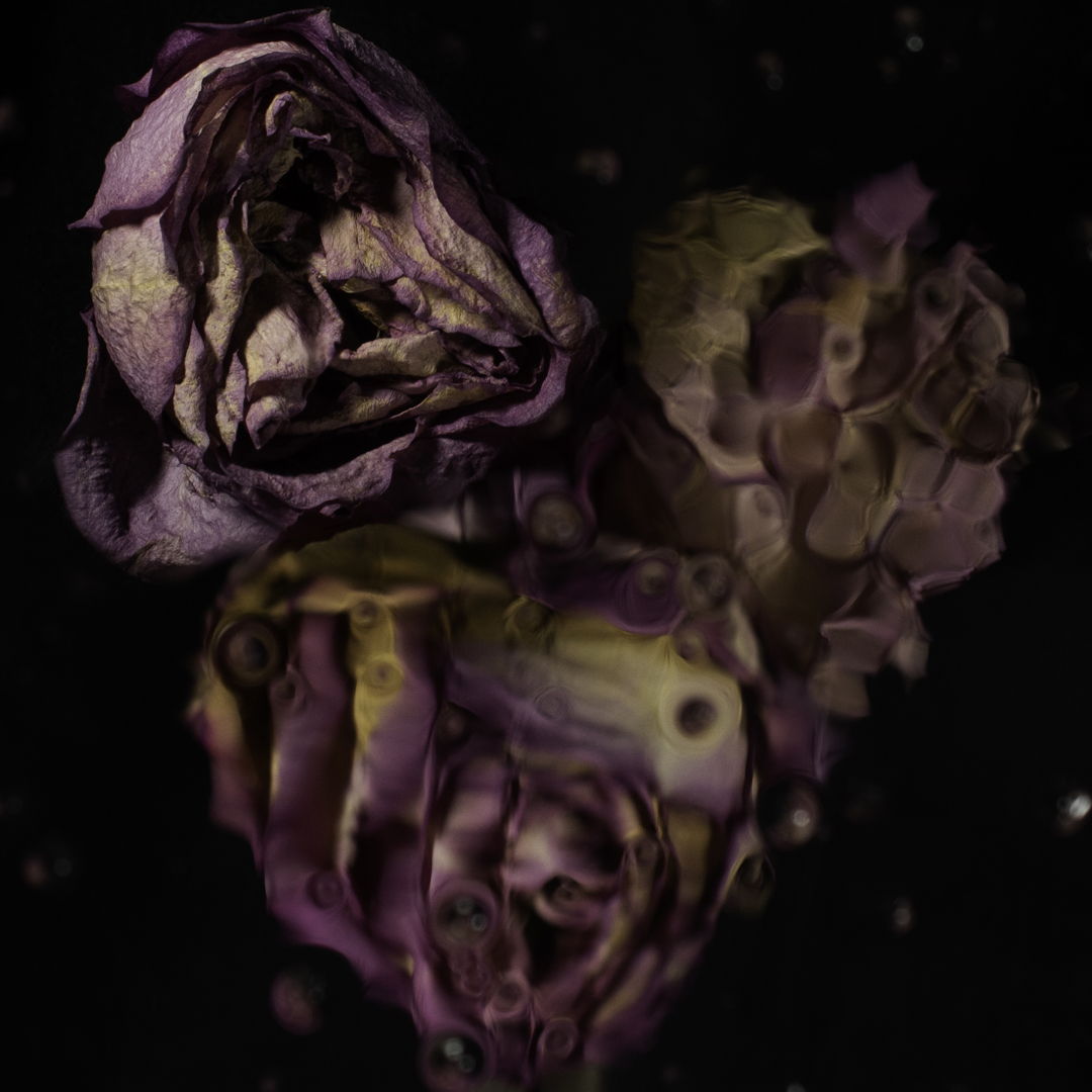 Image of Weeping Flowers