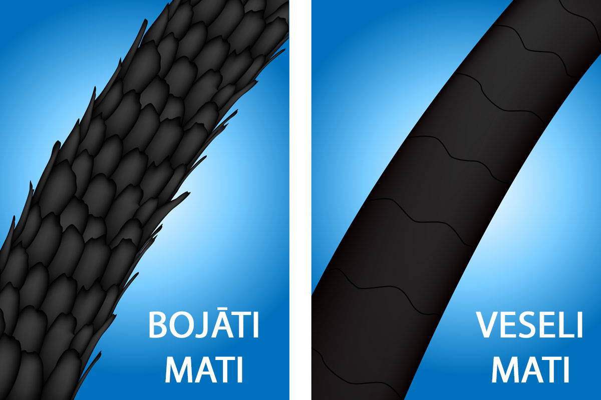 Bojāti un veseli mati