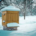 wood-honeybee-hive-in-winter