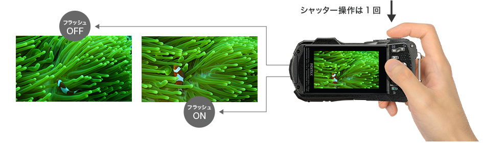 1回のシャッター操作
