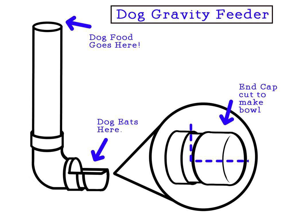 outdoor automatic dog feeder