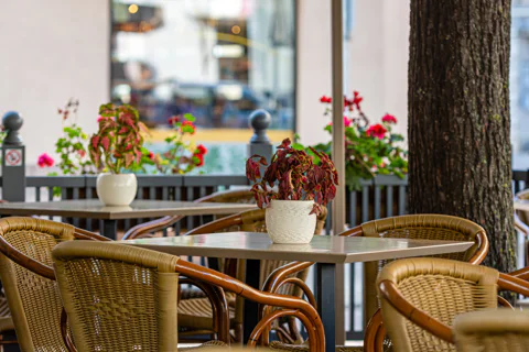 Prague Guided Walking Tour and Cruise with Authentic Czech Lunch