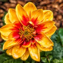Gardening therapy avatar