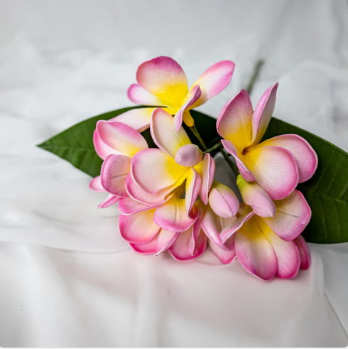 Classic Pink Frangipani Bunch - Realistic Artificial Flowers - Image 2