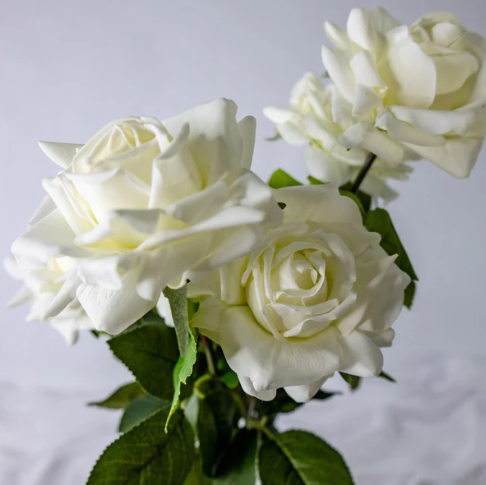 White David Austin Open Bud Real Touch Roses - Realistic Artificial Flowers